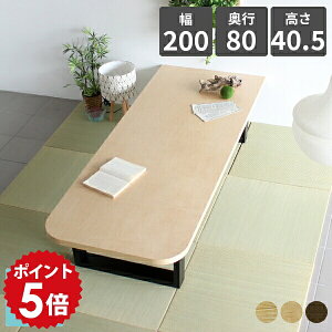 JtFe[u [e[u 傫 p 傫 e[u rOe[u rO ؖ 40cm   l { k ڃe[u ؐ  Z^[e[u  E