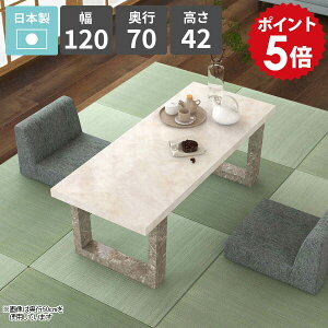 [e[u 嗝Ε  a_  rOe[u Z^[e[u 2l|  Ƒ [^Cv JtFe[u 120cm  \t@[e[u rOfXN  {