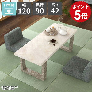 [e[u 嗝Ε  a_  rOe[u Z^[e[u 2l|  Ƒ [^Cv JtFe[u 120cm  \t@[e[u rOfXN  {