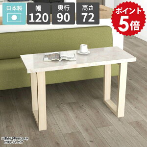 _CjOe[u  120cm He[u rO_CjO \t@[e[u  lp  嗝Ε 2l| JtFe[u rOe[u ƃXy[X Ƒ [Ne