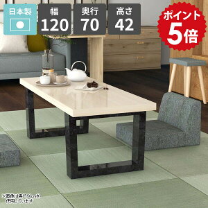  [e[u a_  rOe[u Z^[e[u 2l|  Ƒ [^Cv JtFe[u 120cm  zCg \t@[e[u rOfXN  {