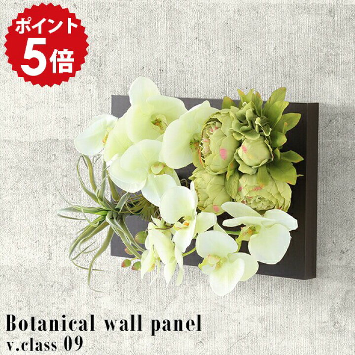 楽天市場】ウォールフラワー 光触媒 胡蝶蘭 花 造花 白 壁掛け 植物 