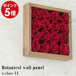  CeA o EH[t[ KN G} t[  tFCNt[ Ǌ| A[gt[ ϗtA z rOA[g  A EH[pl AW Ǐ t[{