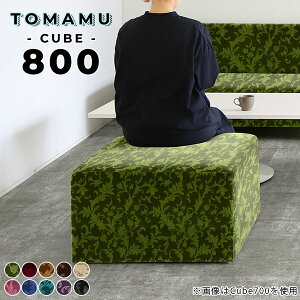 Xc[ O[ \t@ Ibg} r[\t@ r[`FA 40cm [Xc[ AeB[N x`Xc[ tAXc[ Ⴂ \t@[ xA x``FA Pbg lp 