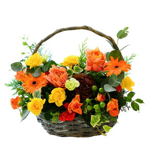  t[AWg  Mtg a j oXPbg AeB[NoXPbg  AWg v[g AW W t LO t[ Mtg ԑ  Vz 