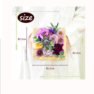  t[AWg a  v[g t[Mtg e[uZ^[ j AWg AW lp`̃AW ẑ悤 \ ސEj ԑ Mtg 