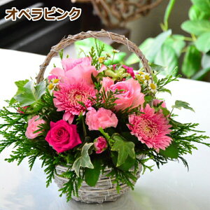  t[AWg  a A Mtg t[Mtg  v[g t[  oY LO ސE JX  LO  킢 lC p  