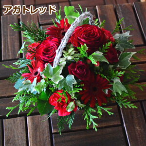  t[AWg  a A Mtg t[Mtg  v[g t[  oY LO ސE JX  LO  킢 lC p  