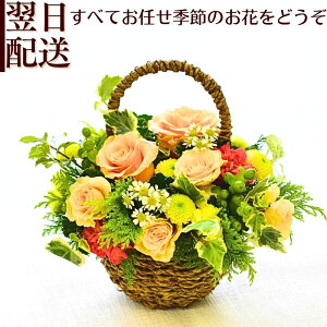 花 フラワーアレンジメント フラワーギフト 生花 プレゼント フラワー ギフト ギフト 色が選べる アレンジメント 品質保証 アレンジ お礼 お祝い 展示会 お見舞い 楽屋花 お供え花 お花 指定