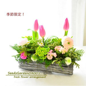  t[AWg Gߌ t  `[bv  a W t LO  v[gt[ Mtg j   Vzje[u EGfBO j 