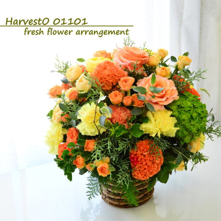 楽天市場 送別会 あす楽 花 フラワーアレンジメント 誕生日 御祝 ギフト お礼 送料無料 生花 お祝いアレンジメント 日頃の感謝 御祝 記念日 開店御祝い フラワーギフト 展示会 楽屋花 受付 ボスデー A Ng ブーケ 花とギフトの店 Arne