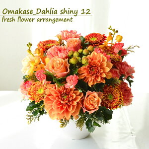 誕生日 花 ギフト 生花 フラワーアレンジメント フラワーギフト アレンジメント ダリア プレゼント プレゼント オレンジ 結婚祝い 記念日 お見舞 送別 新築祝い 明るい おまかせ おしゃれ 御