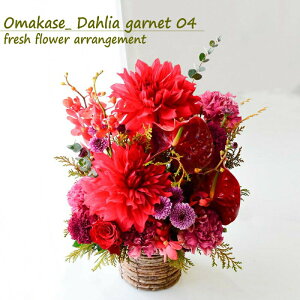  t[AWg  t[Mtg _A w  a j Mtg Ԃ͂܂ ̊ LO JXj _A  ؂₩ 邢 ܂ W y t 