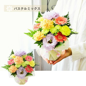   t[AWg   t[ AW t[AW  t[Mtg Mtg AWg      ybĝ Y