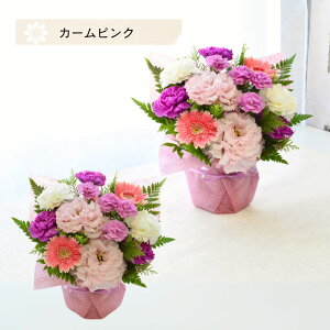   t[AWg   t[ AW t[AW  t[Mtg Mtg AWg      ybĝ Y