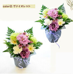   t[AWg   t[ AW t[AW  t[Mtg Mtg AWg      ybĝ Y