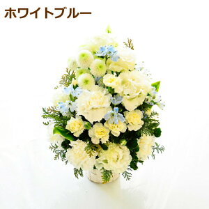   t[AWg  t[Mtg    Mtg AW    AWg ̃Zbg    ꂢ  Offering