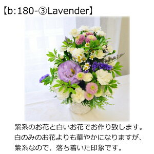   t[AWg  AWg t[Mtg t[ AW Mtg           d RpNg F