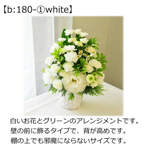   t[AWg  AWg t[Mtg t[ AW Mtg           d RpNg F