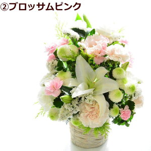   t[AWg   Mtg S    AW  FIׂ AWg    t[Mtg u_̏uv100 AOK s  w