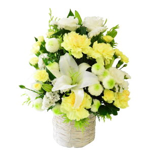   t[AWg   Mtg S    AW  FIׂ AWg    t[Mtg u_̏uv100 AOK s  w