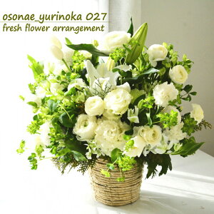   t[AWg    S  AWg t[Mtg AW    Mtg Y O   O[ u_S̍027