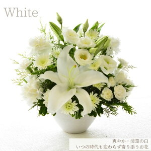   t[AWg   t[Mtg S     AWg AW  FIׂ    t[ Mtg p umԂ̂