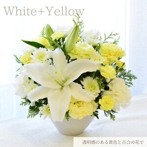   t[AWg   t[Mtg S     AWg AW  FIׂ    t[ Mtg p umԂ̂