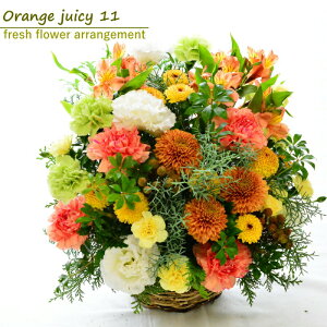  t[AWg  Mtg t[ ԉ gFAWg IW  v[g LO Vzj j  j oYj a  z