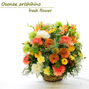   t[AWg   t[Mtg t[ } AWg 邢  IWF  䋟   蕨 ԑ u[P AWt[