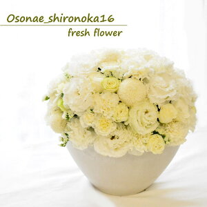  t[AWg   Mtg NNn A  t[AWg    t[Mtg Y   O  {[ǂ s  w