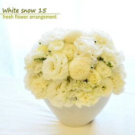 楽天市場 ピンポンマム 生花 フラワーアレンジメント 花 観葉植物 花 ガーデン Diyの通販