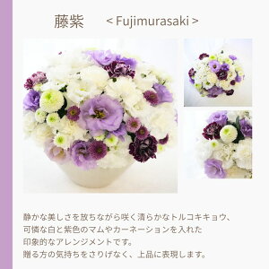  t[AWg   Mtg NNn A  t[AWg    t[Mtg Y   O  sN  {[