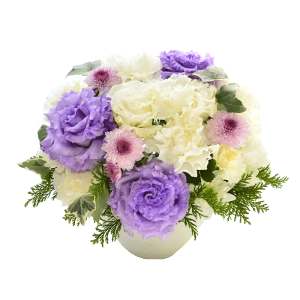   t[AWg   AWg  AW t[Mtg      t[ Mtg gRLLE Y O  s