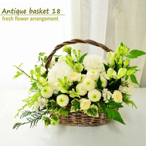  t[AWg O[  t[Mtg v[g j LO Vzj  EGfBO j oY  w ŋz z