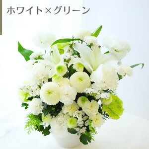   t[AWg t[Mtg AWg     Mtg Y O  O[ y  w ŋz z