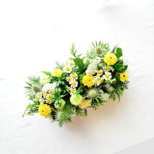    t[AWg  AWg ԑ AW   } e  }gJA ̂悤 Ȓe[u a  w ŋz z