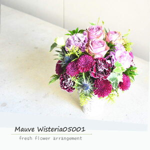   t[AWg   AWg t[Mtg AW Mtg  ogp    @ p Y ԑ u[P AWt[ a  w