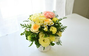   t[AWg  ybĝ t[ AWg t[Mtg    ybg  AW   Osonae for Pet family Arigatou01 a  