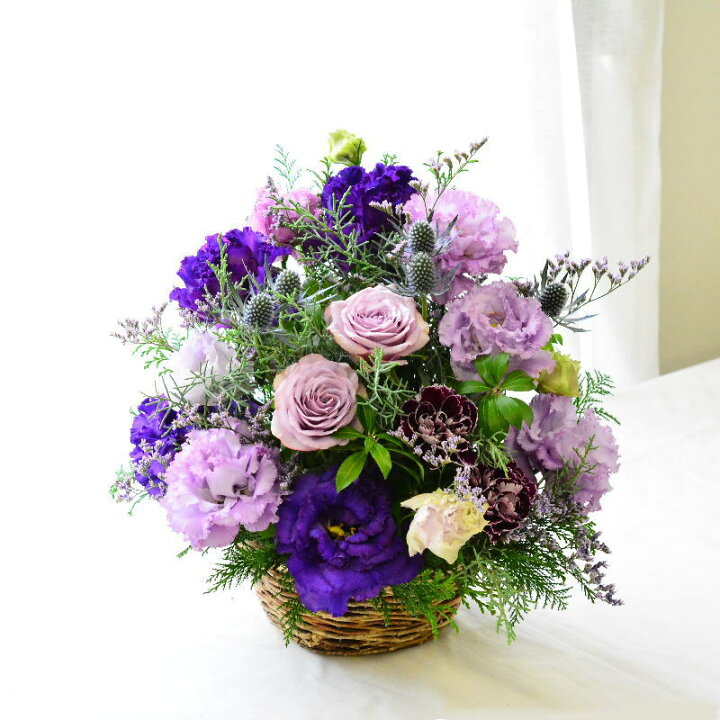 av005-80-04.jpg?fitin=720:720