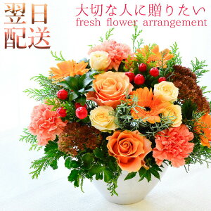  t[AWg a  v[g t[Mtg  IW  j AWg j ڏ̕ LO W \  y ސEj Mtg 