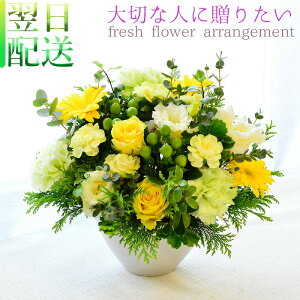  t[AWga  v[g AWg t[Mtg Mtg F  P Ď j j AW ڏ̕ 蕨 LO W \  y