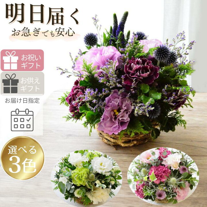 av107-260201a.jpg?fitin=720:720