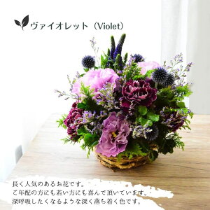  t[AWg a  t[Mtg  e[u  AWg j Ê     t[ AW ԑ u[P W   z