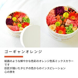 a   {bNX t[AWg t[{bNX t[P[L t[ Mtg 傫  v[g j {bNXt[  LO EGfBO j