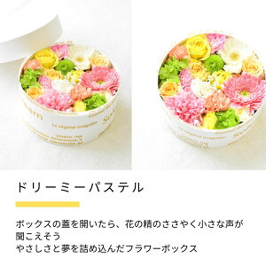 a   {bNX t[AWg t[{bNX t[P[L t[ Mtg 傫  v[g j {bNXt[  LO EGfBO j