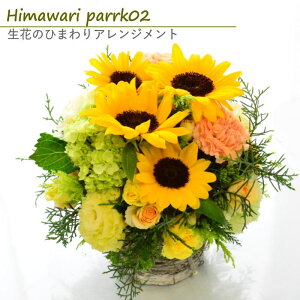 Ђ܂  t[AW Ђ܂ g  at[Mtg    v[g Mtg  j   W y C u₩ q}p[N02 w ͂ 