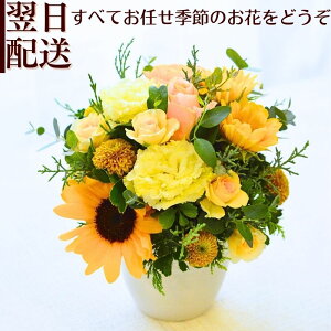  t[AWg a  v[g AWg t[Mtg F  P Ď j AW 蕨 LO  ސEj  ꂢ  zw