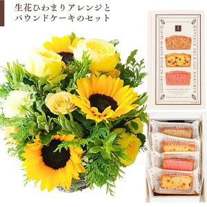 Ђ܂艩F  ԑ av[g ԂƃP[LZbg v[g AW a AWg Vz t[Mtg َq Mtg j ̊ EGfBO K 