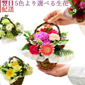 花 フラワーアレンジメント 生花 プレゼント ギフト 誕生日 おまかせ フラワーギフトアレンジ 誕プレ お礼 お祝い 展示会 発表会 お見舞い 楽屋花 お供え花 かわいい 手付きのかご ほんの気持ち お花 指定日 最強配送 宅配
